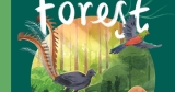 Find me in the Forest