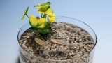 Reimagining robotics for sustainability – Robohub