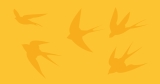 Chair’s report of 2024 — Liberal Voice for Women