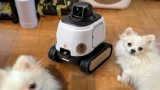 WIM-Z robot uses AI to cut dog barking by 83% using treat rewards