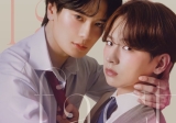 Fake Fact Lips (Japanese Series)