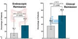 Flawed Dual Therapy Study of Vedolizumab and Upadacitinib
