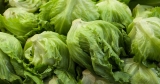 Was the summer of foodborne outbreaks as bad as it seemed?
