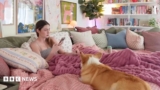 ‘We are not lonely’: Solitude as a new aspirational lifestyle