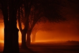Spooky lights