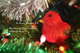 Seasonal Greetings and Best Wishes