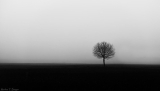Silence
