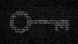 Ransomware fixer claimed he could decrypt files, allegedly defrauded clients instead