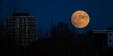 Big Moon Rising