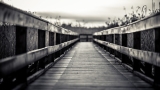 Walk