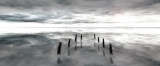 Black and white sea