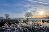 Beautiful Icy Sunrise