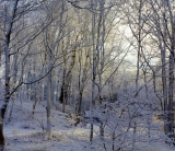 A snowy Christmas morning