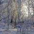 Winter Sunshine In The Valley