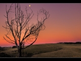 Gratitude – To all my dear friends :)