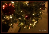 Tis The Season!!
