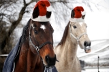 Who needs reindeer anyway? Merry Christmas!