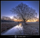 The Magnificent Tree, Sunrise @ Het Broek, Mechelen, Belgium :: HDR :: Vertorama