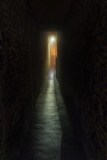 Into the Light
