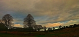 A Christmas Day Walk