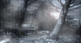 Trees tone