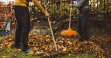 4 Ways to Reflect on God’s Faithfulness Through the Seasons