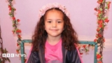 Israeli army orders criminal investigation into killing of Palestinian girl Hind Rajab in Gaza