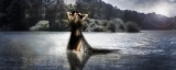Woman 1