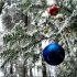 MERRY CHRISTMAS – FELIZ NATAL