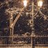 2017 Rockefeller Center Christmas Tree