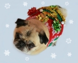 My Ugly Christmas Sweater