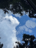 Practicing The Law Of Attraction In Daily Life