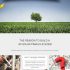 Auto Lotto Processor #1 Lotto Offer On CB