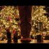Miss Angel … and christmas trees