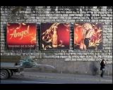 Miss Angel … and christmas trees
