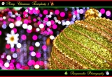Merry Christmas Everybody :) / สุขสันต์วันคริสมาส 2010