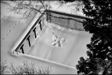 christmas holiday snow angel – saint paul, mn