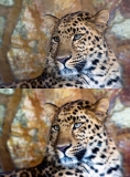 Orton Photoshop Tutorial