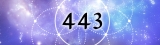 Angel Number 443 – 4 Reasons You are Seeing Number 443