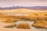 Tecopa Natural Hot Springs