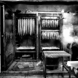 smoked trout