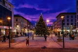 Rosa di sera…Buon Natale si spera – Pink in the evening … Merry Christmas hopefully