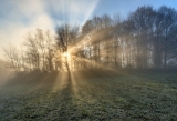 *Hochwald-Licht* – *High forest light*