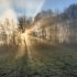 *Hochwald-Licht* – *High forest light*