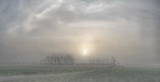 MISTY  MURKY MORNING