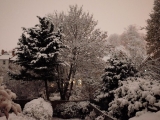 Let it snow