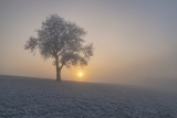 *winter light*