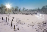 Ice Age (Woolly Mammoth Light Painting), Hertfordshire