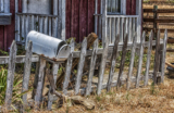 Featured Artist Robert Sachs | Artsy Shark