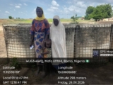 Terrorist family member and her two children surrender to troops in Borno